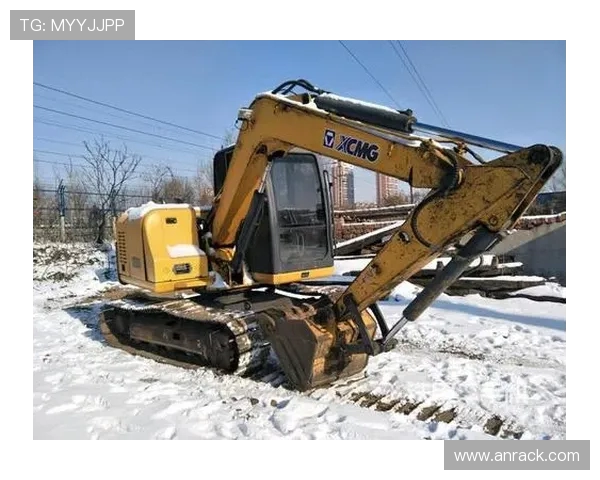 挖掘机品牌忠诚度调研数据
